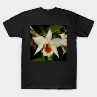 White Cimbidium Orchid T-Shirt